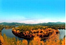 Ī�����¹���ɭ�ֹ�԰